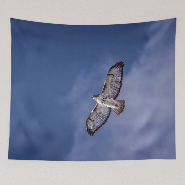 Item preview, Red-Tail Hawk Soaring High designed and sold by Shelly Gunderson.