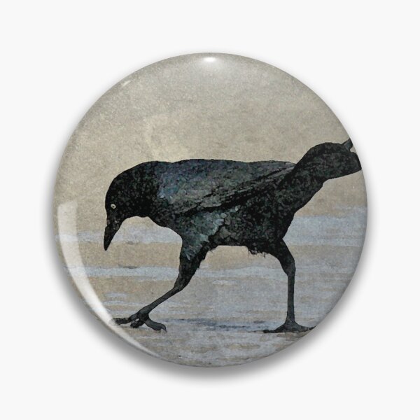 Item preview, Crow Search designed and sold by J. L. Gould.