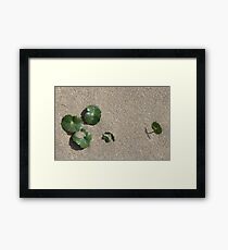 Survival Framed Print