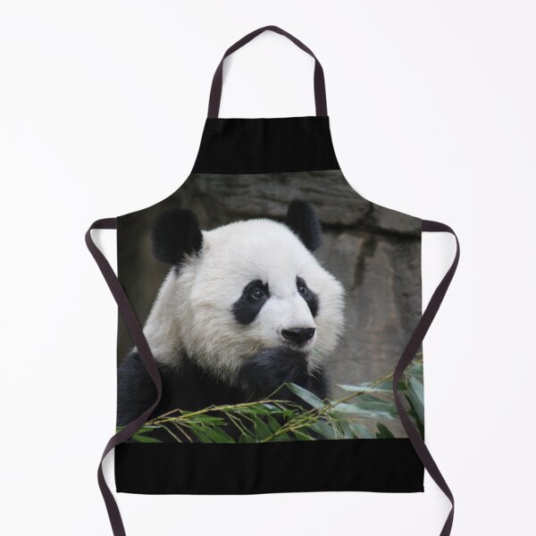 Item preview, Giant Panda Xi Lun at Zoo Atlanta designed and sold by Zoo and Nature Photography by Karie.