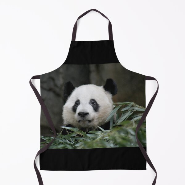 Item preview, Giant Panda Ya Lun at Zoo Atlanta designed and sold by Zoo and Nature Photography by Karie.