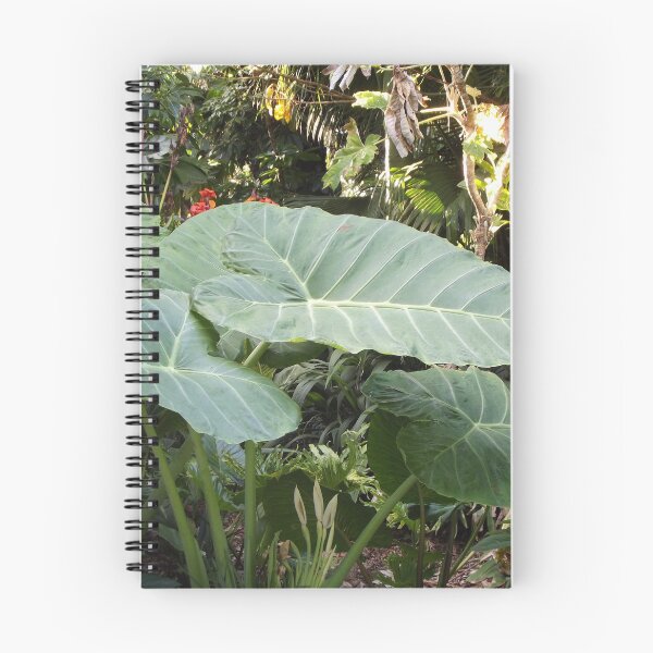 Item preview, Colocasia gigantea designed and sold by greentiger1.