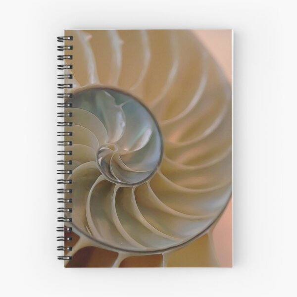Item preview, Nautilus designed and sold by Carolyn  Fletcher.