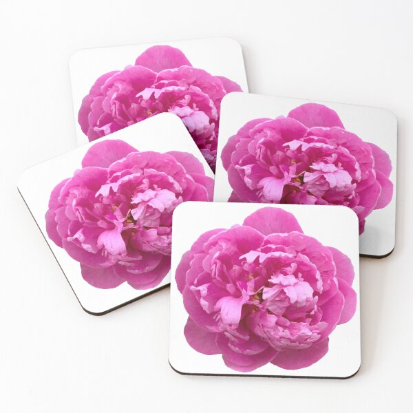 Item preview, Fotografía floral de naturaleza muerta de flor de peonía rosa designed and sold by CottoVerdi.