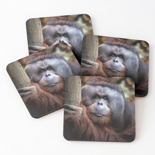Item preview, Rudi designed and sold by Savannah Gibbs.