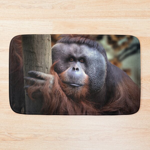 Item preview, Rudi designed and sold by Savannah Gibbs.