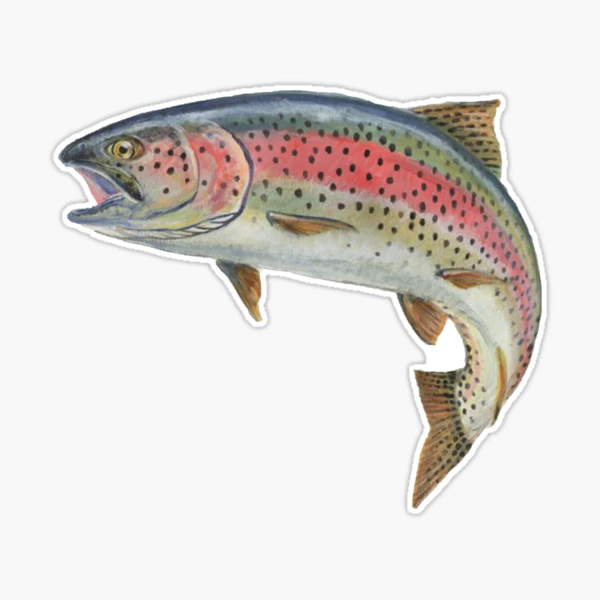 Rainbow Trout Sticker for Sale by FastArcher