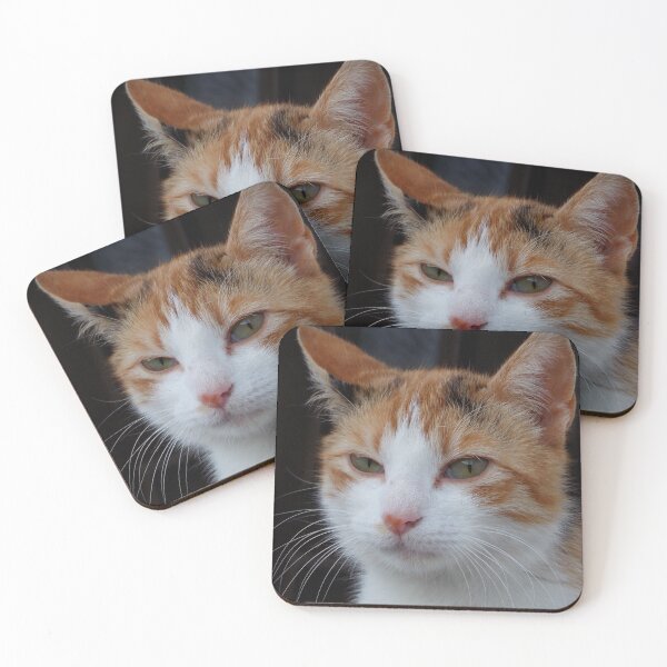 Item preview, Melancholia - Beautiful Tri-color Cat   designed and sold by branaghbel.