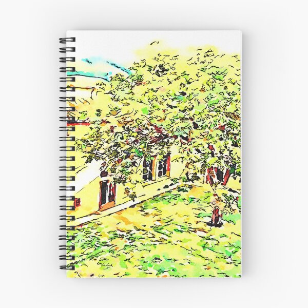 Item preview, Istituto Emiliani: tree in the yard designed and sold by Giuseppe Cocco.