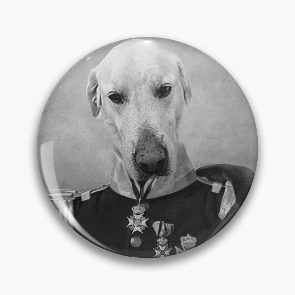Artikelvorschau, König der Hunde entworfen und verkauft von Milicfoto.