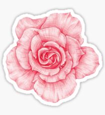 liebliche Rose Sticker