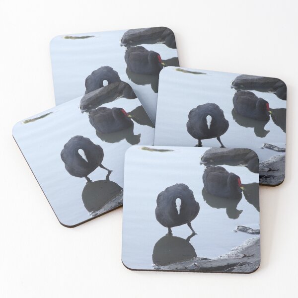 Item preview, Coot designed and sold by greentiger1.