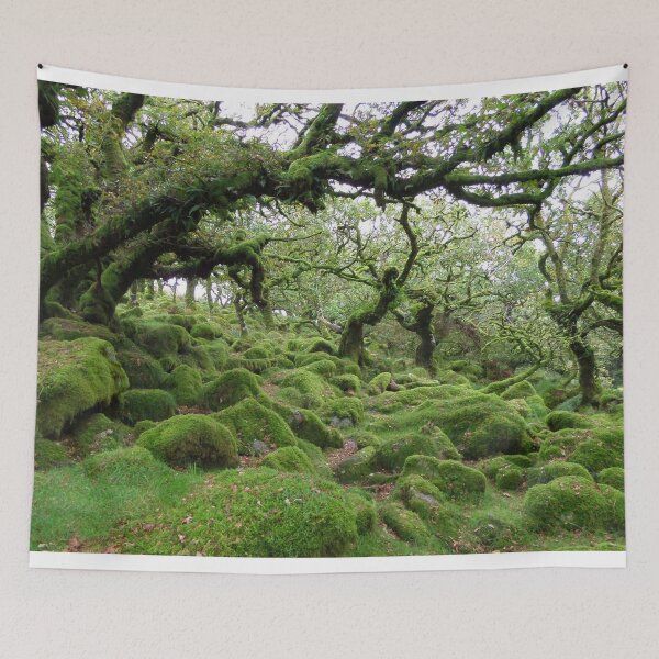 Item preview, Mystical Ancient Woodland designed and sold by Taliesin-Shop.