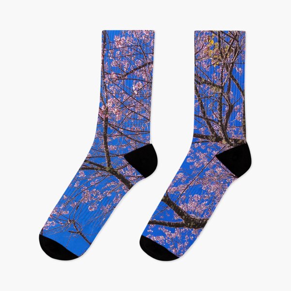 Item preview, Dogwood Tree with pink blossoms and very blue sky, photo designed and sold by Nostrathomas66.