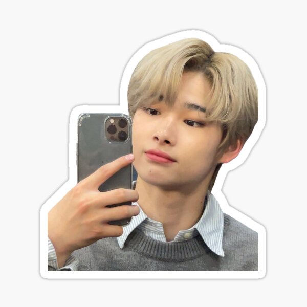 ENHYPEN - ni-ki mirror selfie Sticker