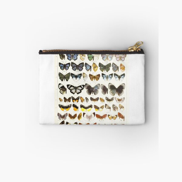 Item preview, Vintage Butterflies Illustration from 1846 designed and sold by VintageAndy.