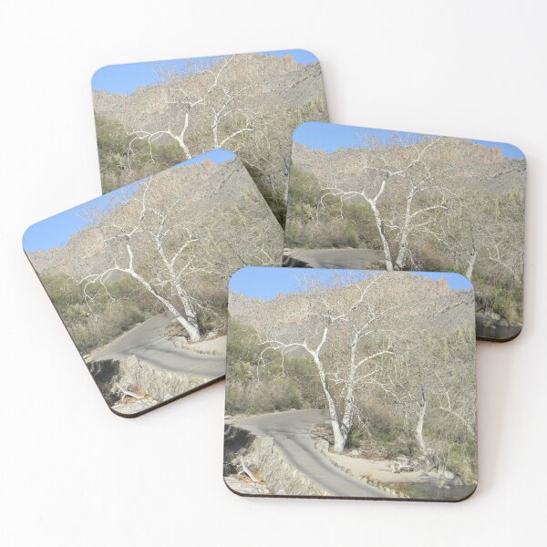 Item preview, Sabino Canyon Road designed and sold by Kathleen Brant.