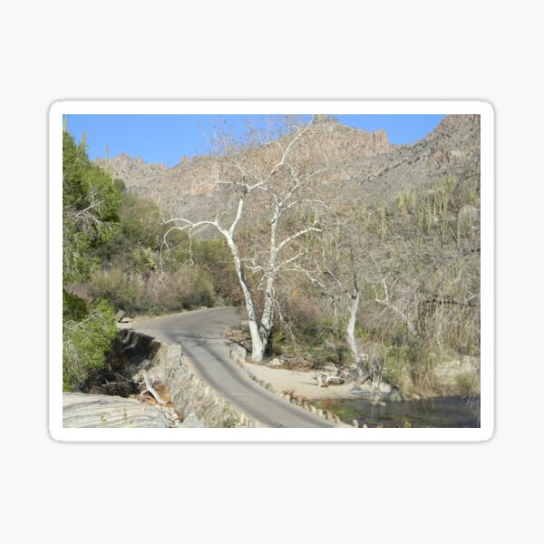 Vista previa del artículo con la obra «Sabino Canyon Road», diseñado y vendido por Kathleen Brant.