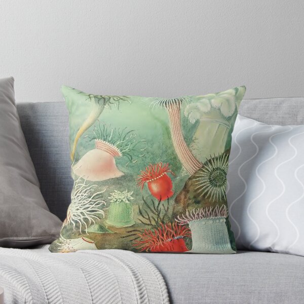 Item preview, Vintage Illustration of Sea Life from 1909 designed and sold by VintageAndy.