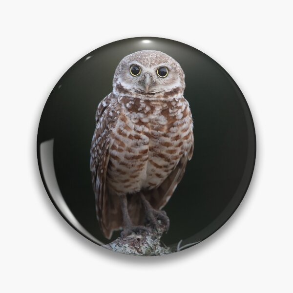 Item preview, Burrowing Owl designed and sold by mlorenz.