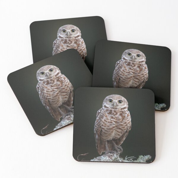 Item preview, Burrowing Owl designed and sold by mlorenz.