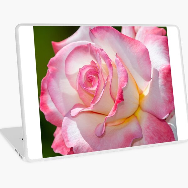 Secret Rose Laptop Skin