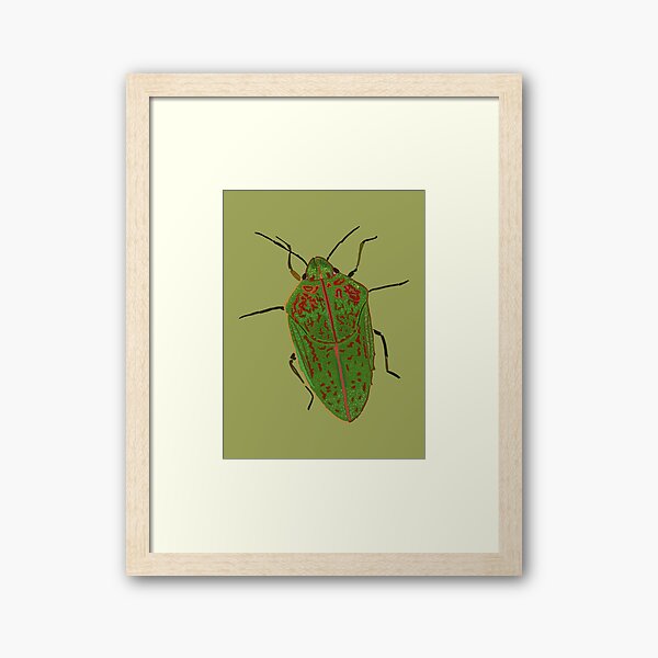 Item preview, Hawaiian Koa Bug designed and sold by NJartbyNJacobson.