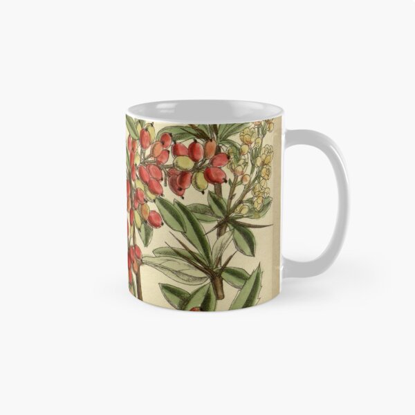 Item preview, Berberis prattii 140 8549 designed and sold by EsotericBotanic.
