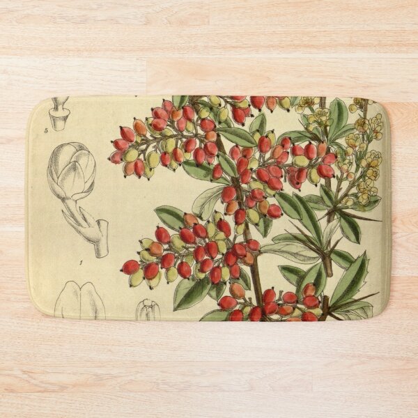 Item preview, Berberis prattii 140 8549 designed and sold by EsotericBotanic.