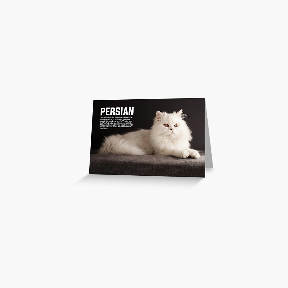 persian cat puzzle