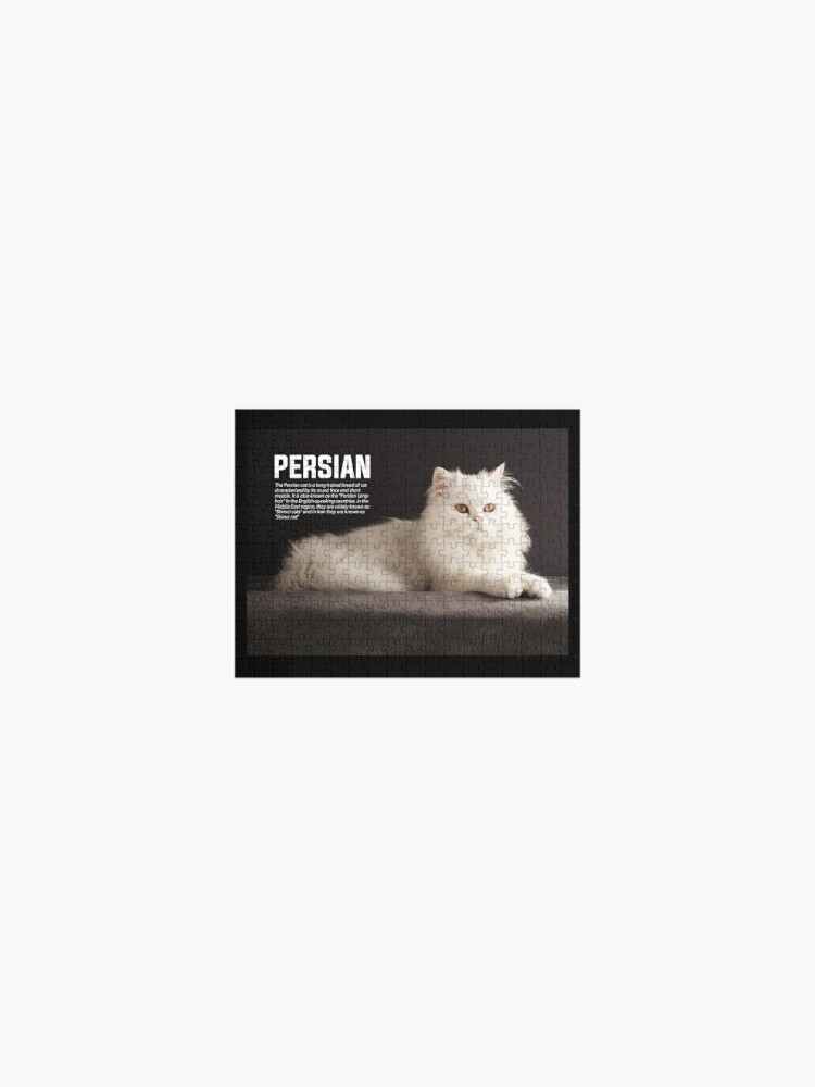 cat breed puzzle