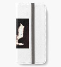 shock bunny iPhone Wallet/Case/Skin