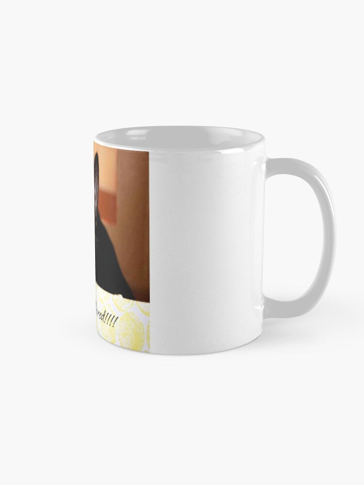 Alternate view of I'm so bored Mug