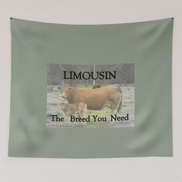 Item preview, LIMOUSIN CATTLE, THE BREED YOU NEED , COW AND CALF  EDITION  designed and sold by Opalbluerose.
