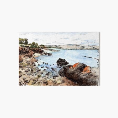 Australian Scene - Louth Bay, SA, Aus Art Board Print