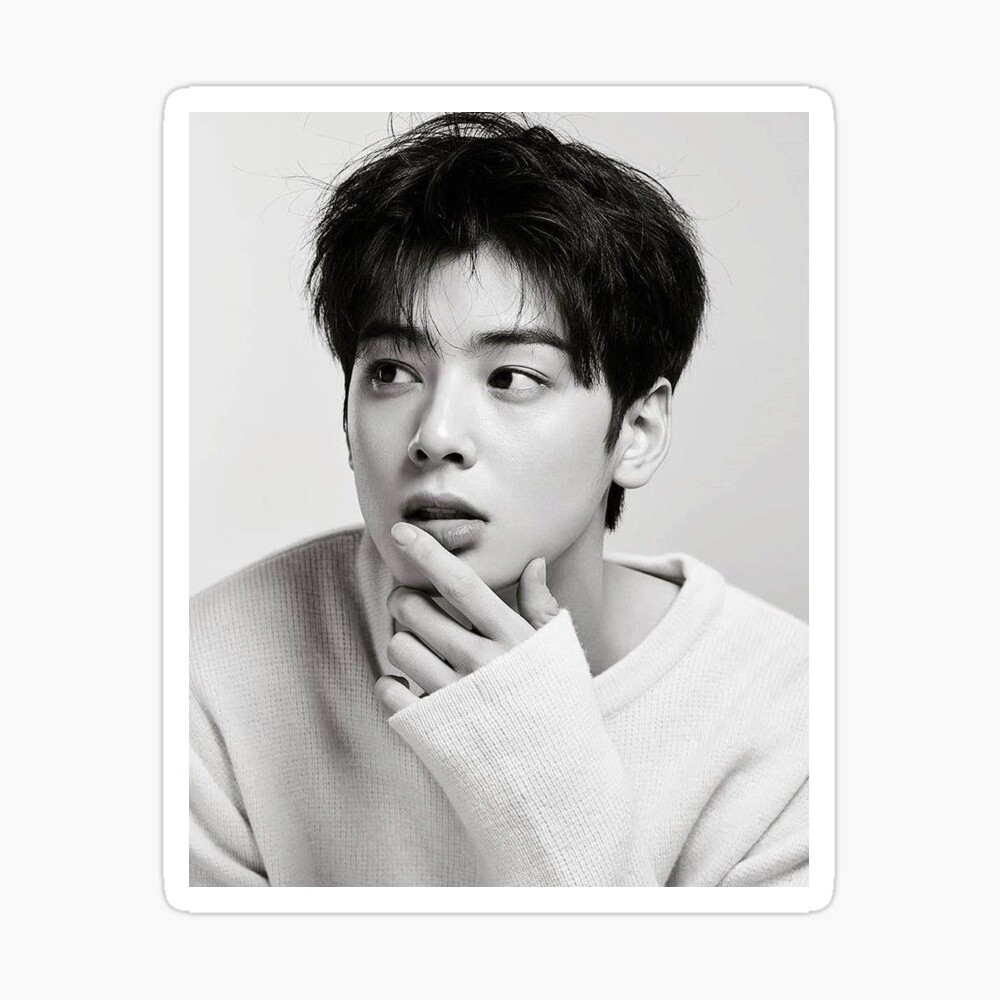 Cha Eunwoo Astro Kdrama Kpop Lee Dongmin True Beauty Matte Finish