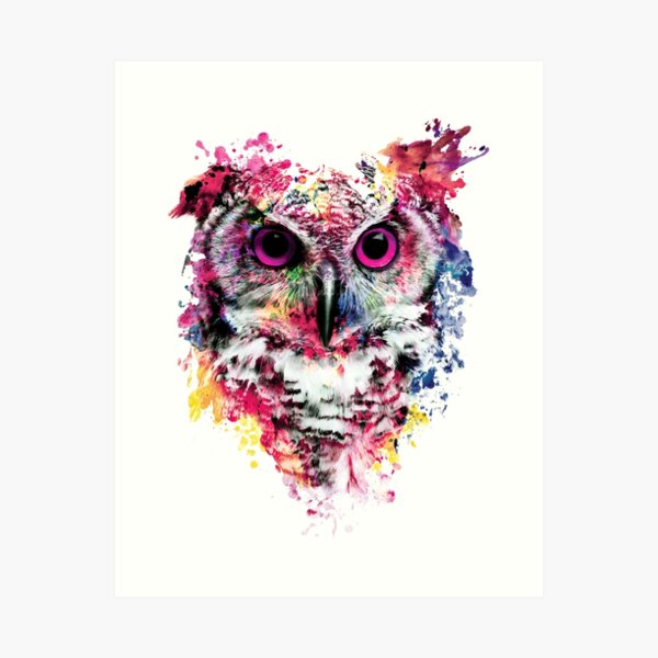 Owl Art Print