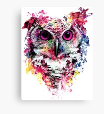 Owl Canvas Print