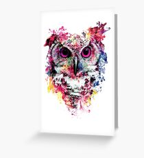 Owl Greeting Card