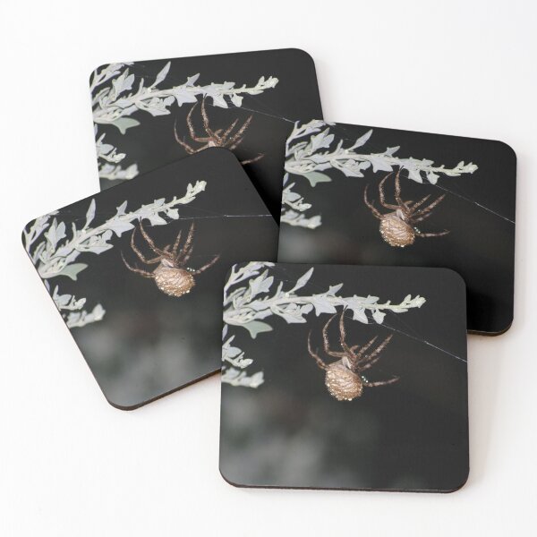 Item preview, Spider Picture Artwork designed and sold by Sierra  Mae.