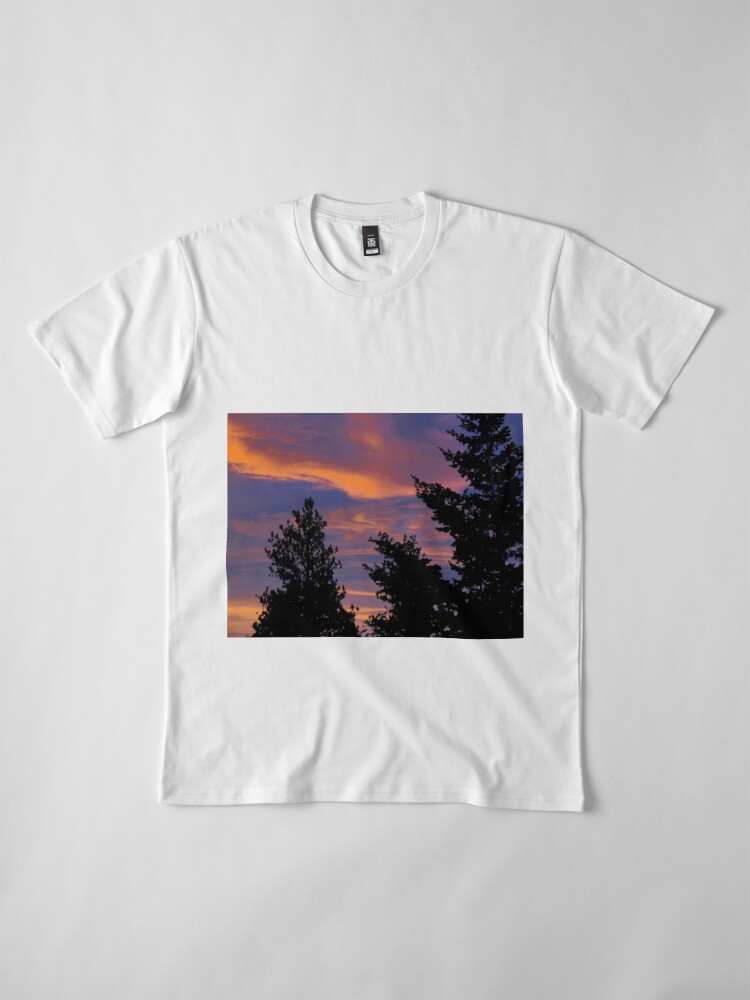 Alternate view of sunrise Premium T-Shirt