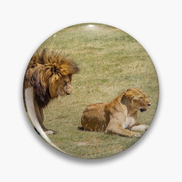 Item preview, Bowing To The Boss designed and sold by Planet Earth By Colin Davis.