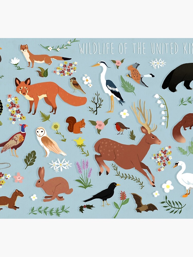 Wildlife of the United Kingdom by sophieeves90