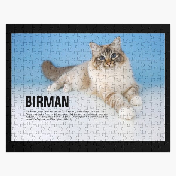 cat puzzles for sale