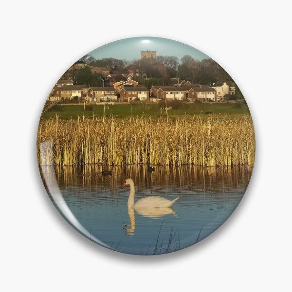 Item preview, Wombwell Ings designed and sold by Alisonchambers2.