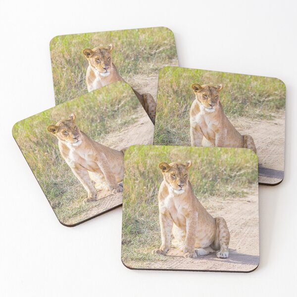 Item preview, Lioness designed and sold by Planet Earth By Colin Davis.
