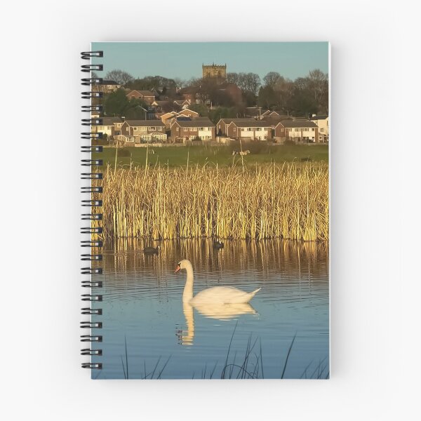 Item preview, Wombwell Ings designed and sold by Alisonchambers2.