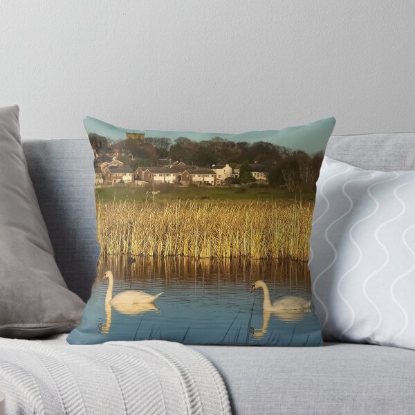 Item preview, Wombwell Ings designed and sold by Alisonchambers2.