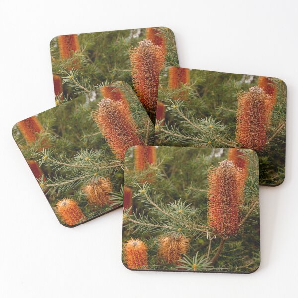 Item preview, Banksia #5 designed and sold by SamanthaKaspers.