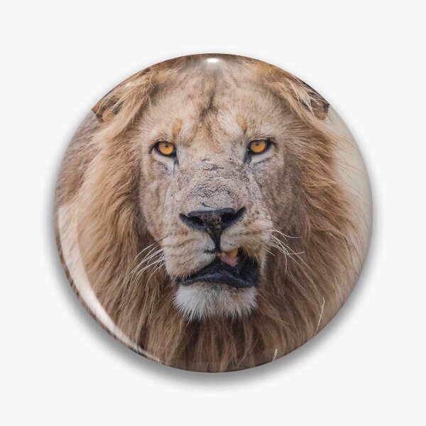 Item preview, Young strong lion designed and sold by Ingo Gerlach.